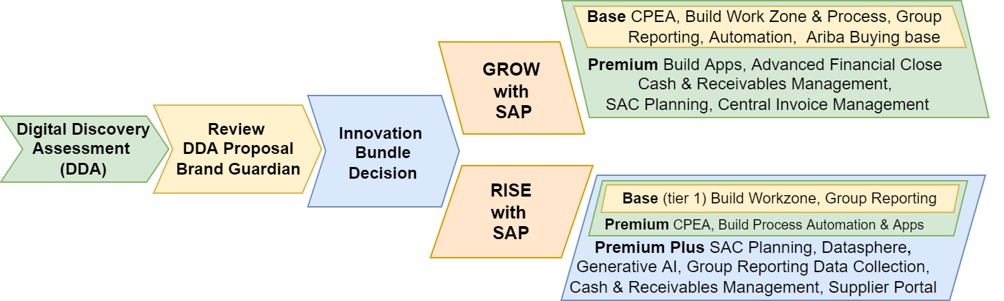 SAP S/4HANA GROW RISE Decision